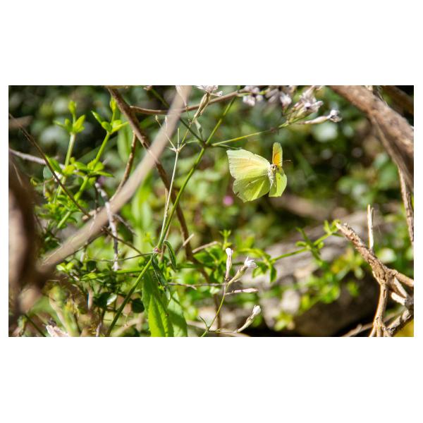 PHOTO84, CLUB, 84 , LUBERON